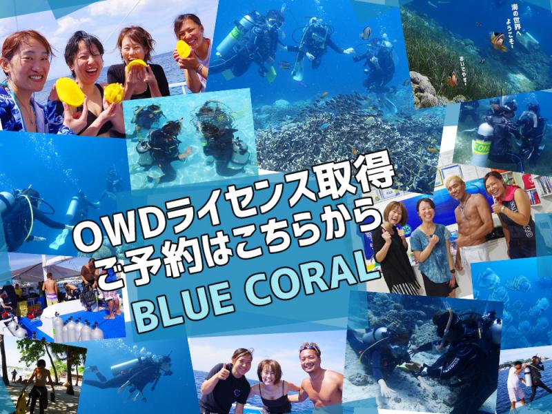 TIDEPOOL(タイドプール)アゴペン 初期品 含む　7本セット 2025年最新】Yahoo!オークション -タイドプール ルアーの中古品