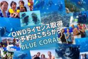 予約OK【日本語で安心】セブ島でダイビングライセンス（OWD）取得プラン・Diving license 01