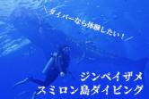・BC  Whale shark  Diving