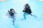【予約可能】体験ダイビング＋パンダノン島上陸・BC Introductry Diving course