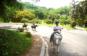 【予約可能】セブ島でホーストレッキング！満足度120％の本格乗馬体験！・Horse riding