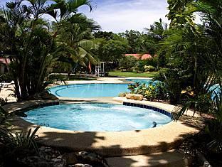 セブ ホワイト サンズ アット マリバゴ ベイ ホテル ・Cebu White Sands At Maribago Bay Hotel