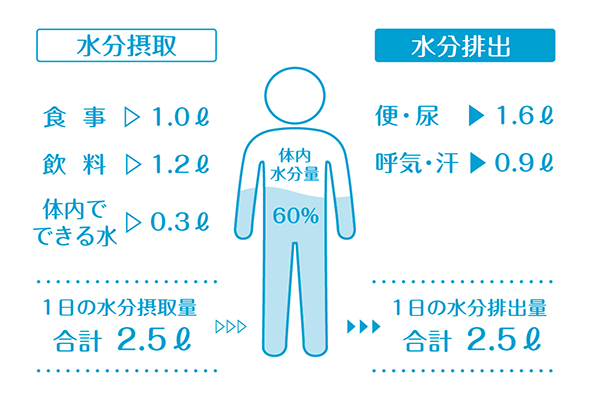 水分量の図