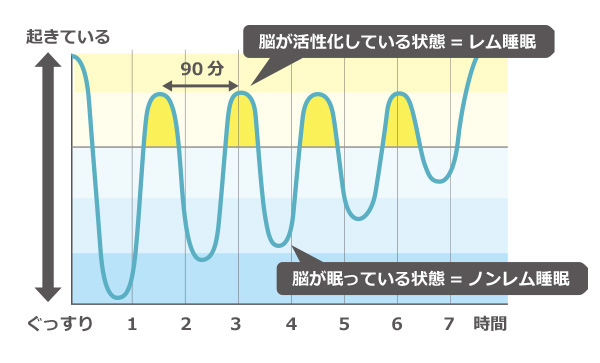 レム睡眠ノンレム睡眠のグラフ