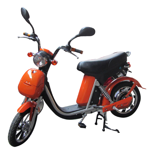 eco e bike