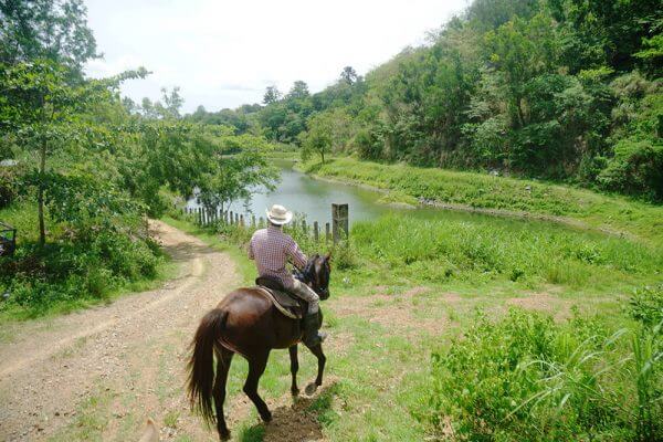 セブ_オプショナルツアー_乗馬_乗馬をする男性