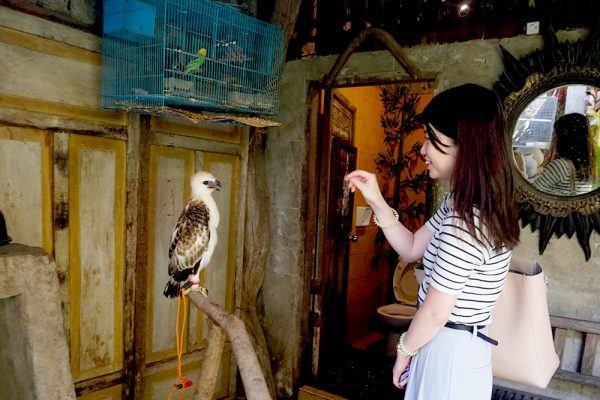 セブ島市内観光サンディエゴ邸鳥