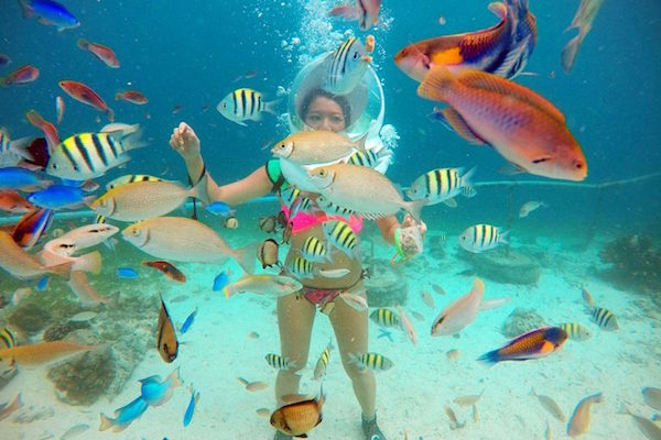 シーウォーカーの海中の様子